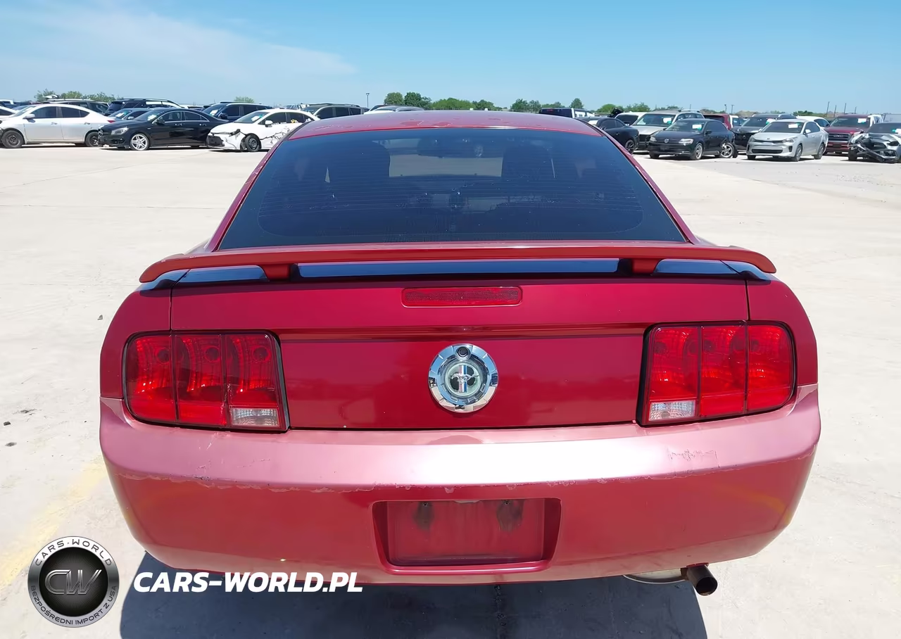 2006 Ford Mustang V6 VIN:1ZVFT80N165239481 - 17