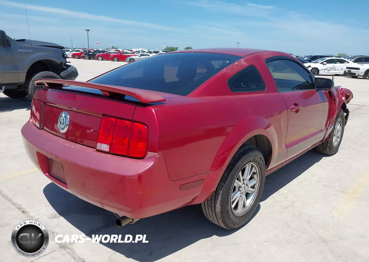 2006 Ford Mustang V6 VIN:1ZVFT80N165239481 - 4