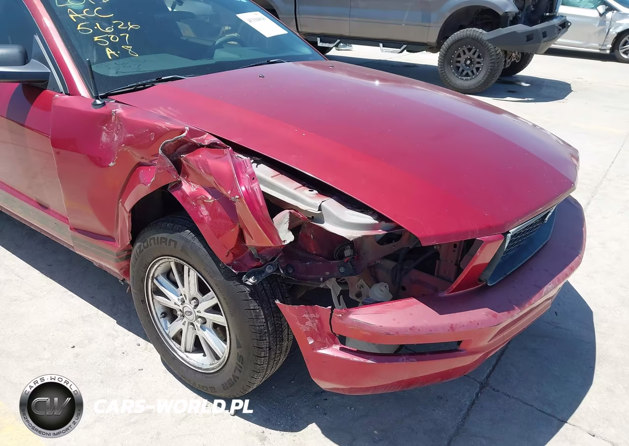 2006 Ford Mustang V6 VIN:1ZVFT80N165239481 - 6