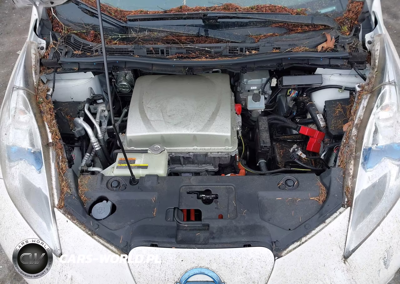 2016 Nissan Leaf Sl VIN:1N4BZ0CP4GC307662 - 10
