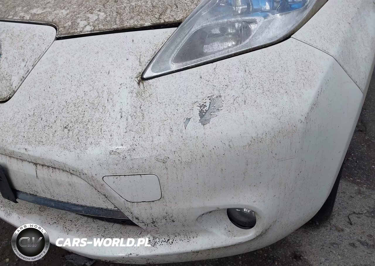2016 Nissan Leaf Sl VIN:1N4BZ0CP4GC307662 - 15