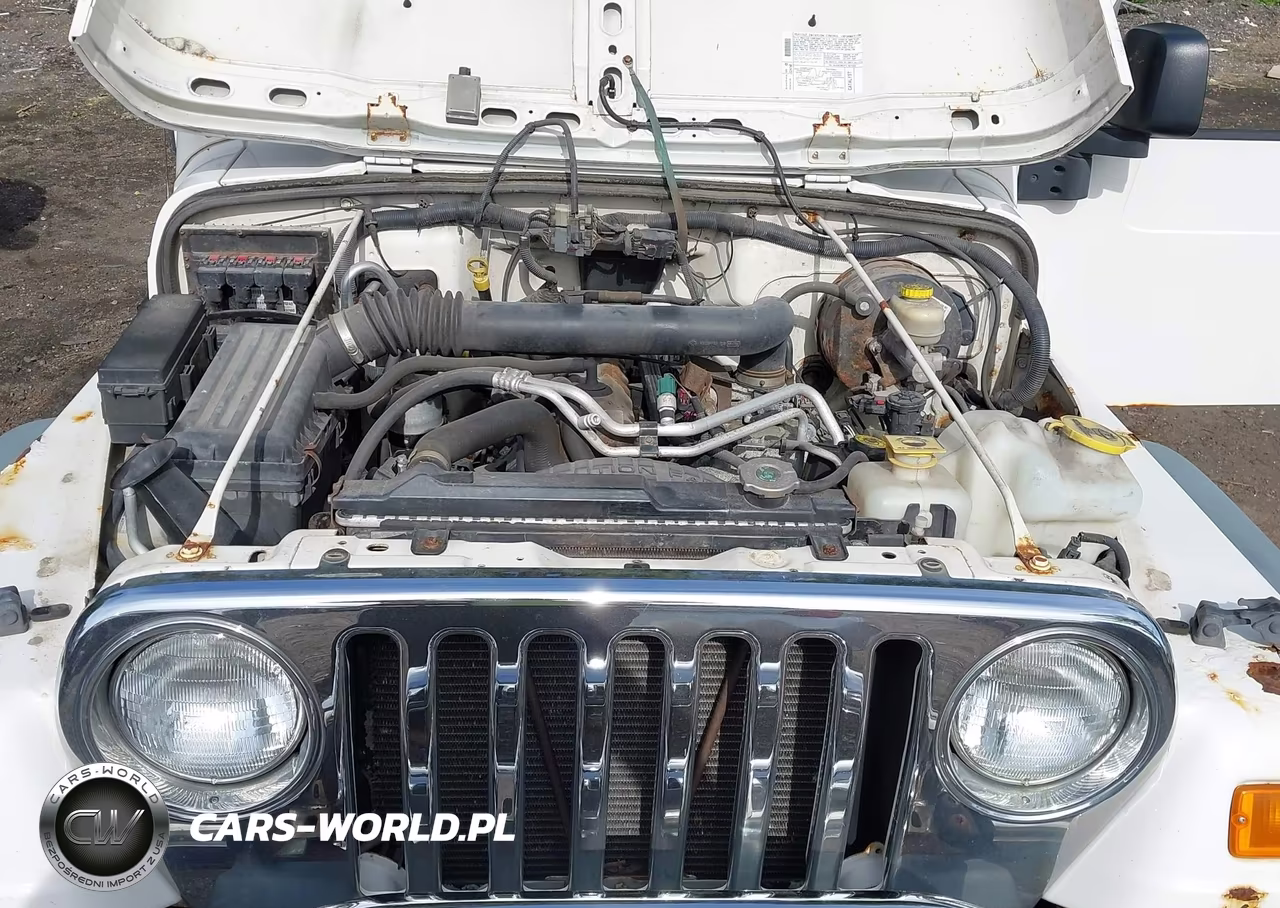 2006 Jeep Wrangler Unlimited VIN:1J4FA44S16P777615 - 10