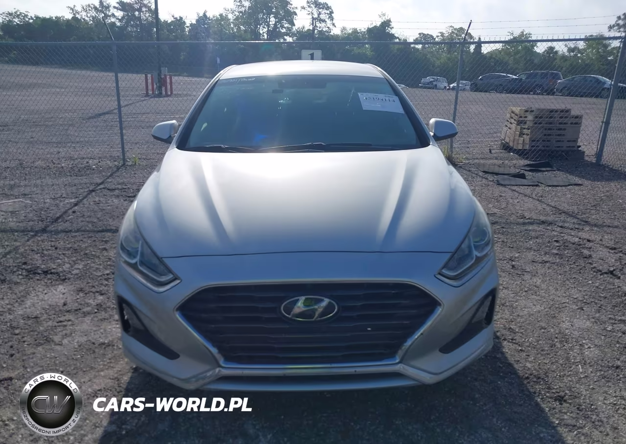 2019 Hyundai Sonata Se VIN:5NPE24AF6KH787780 - 12