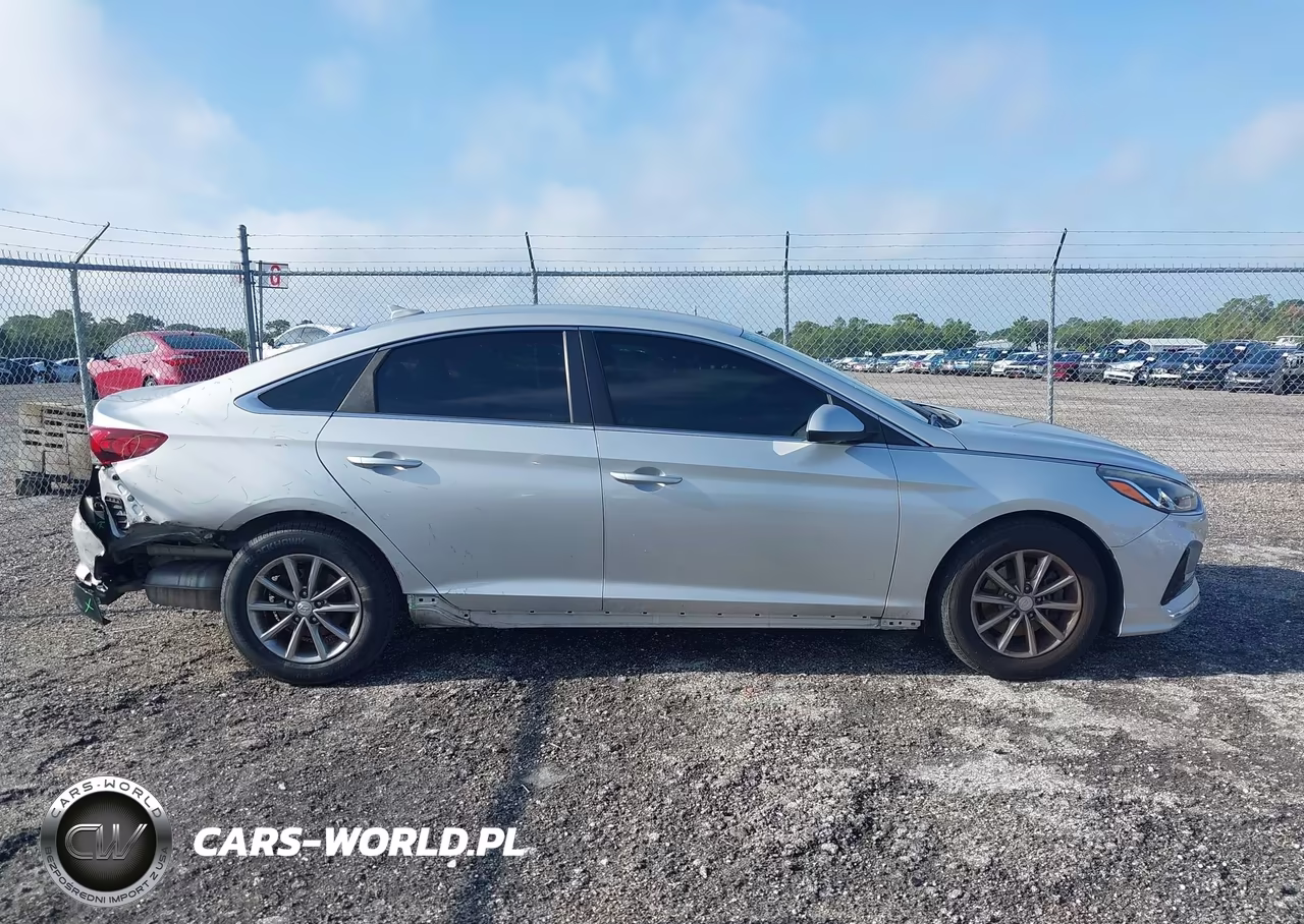 2019 Hyundai Sonata Se VIN:5NPE24AF6KH787780 - 13