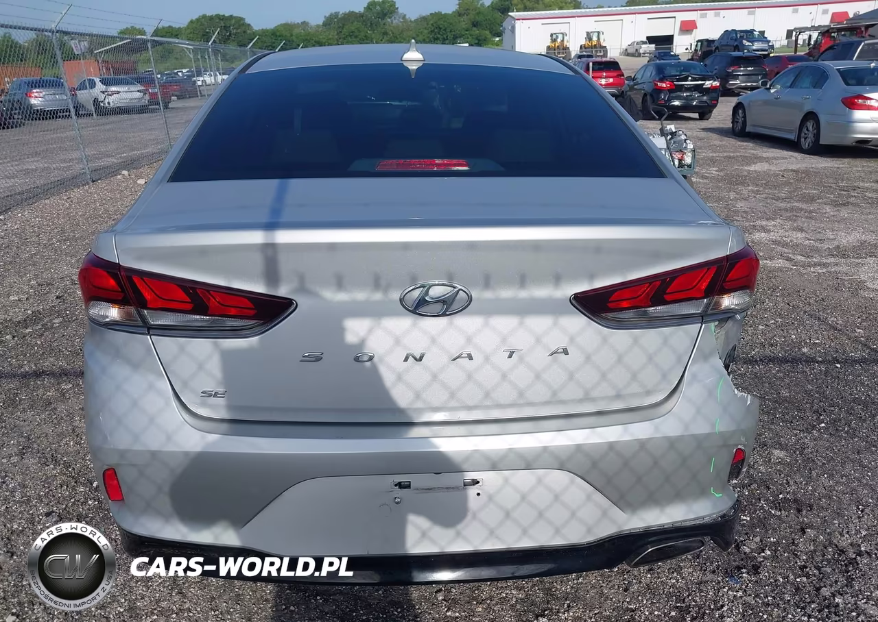 2019 Hyundai Sonata Se VIN:5NPE24AF6KH787780 - 16