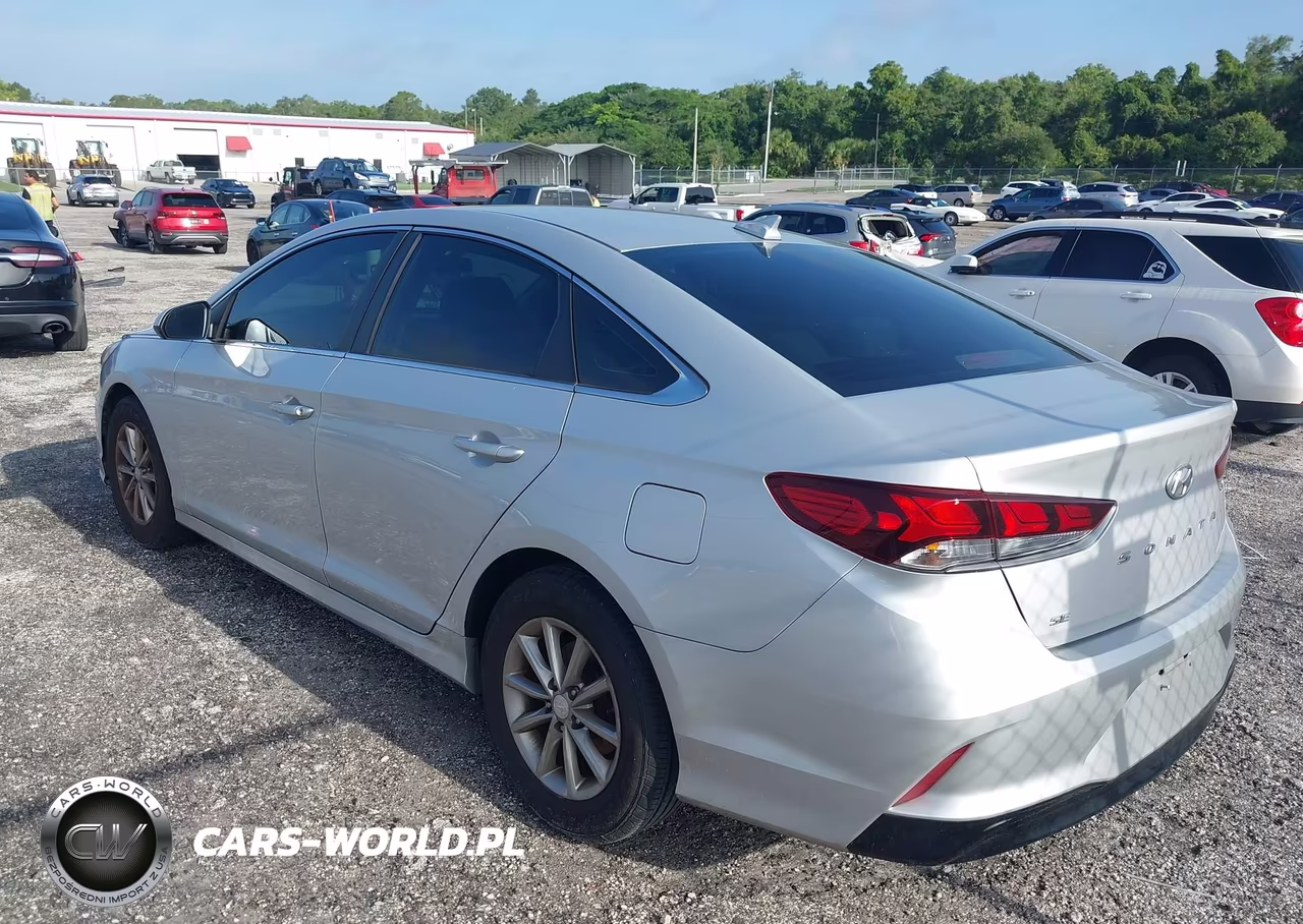 2019 Hyundai Sonata Se VIN:5NPE24AF6KH787780 - 3
