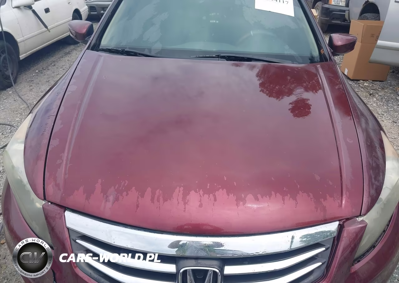 2012 Honda Accord 2.4 Ex VIN:1HGCP2F75CA213177 - 10