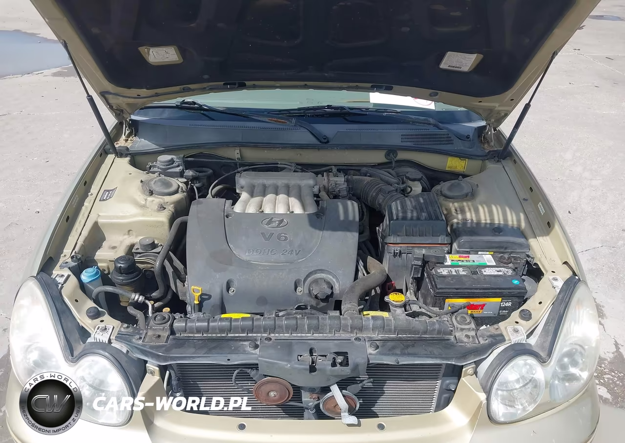 2003 Hyundai Sonata Gls-Lx VIN:KMHWF35H83A901605 - 10