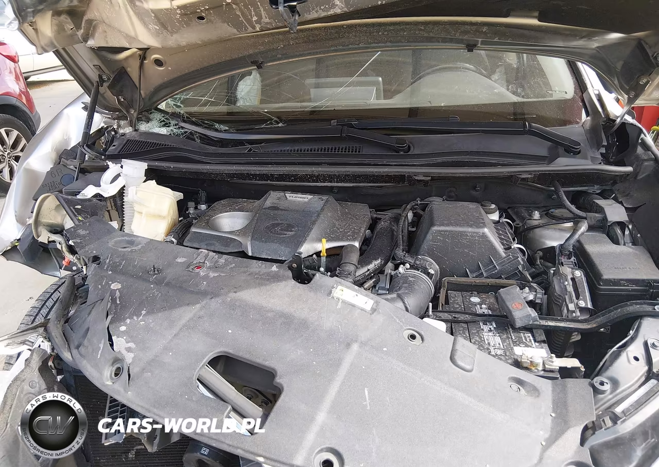 2020 Lexus Nx 300 VIN:JTJAARBZ8L5013908 - 10