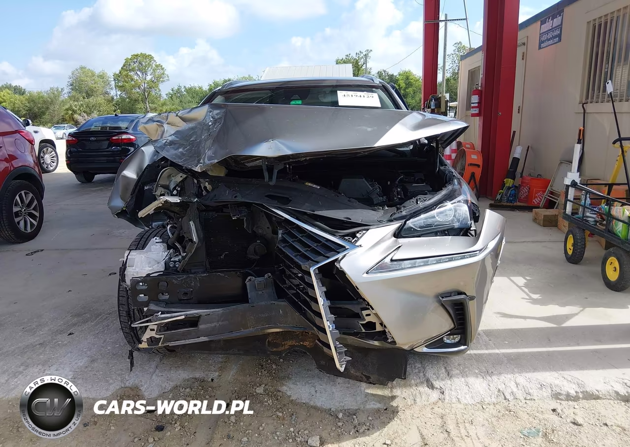 2020 Lexus Nx 300 VIN:JTJAARBZ8L5013908 - 12