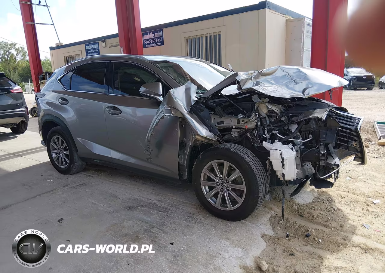2020 Lexus Nx 300 VIN:JTJAARBZ8L5013908 - 13