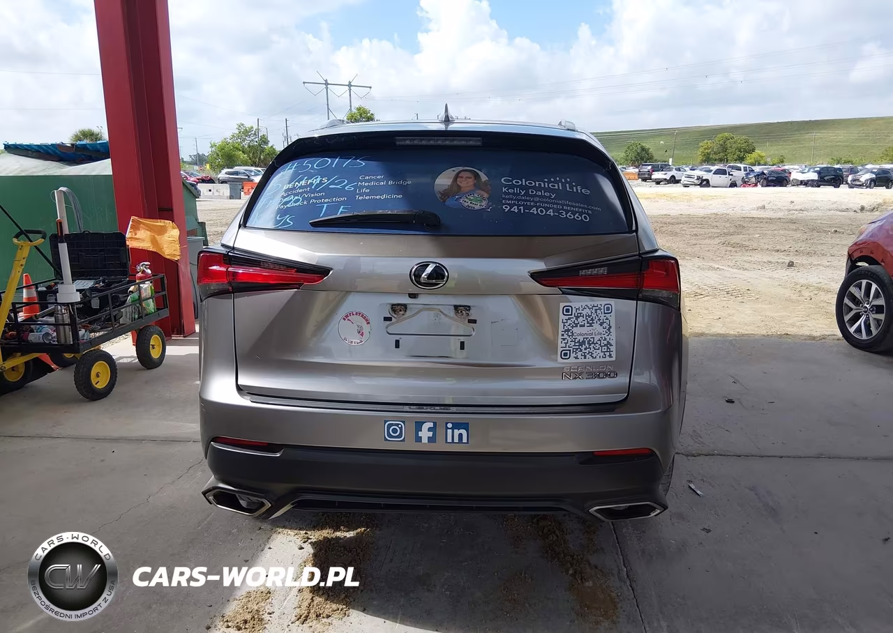 2020 Lexus Nx 300 VIN:JTJAARBZ8L5013908 - 16
