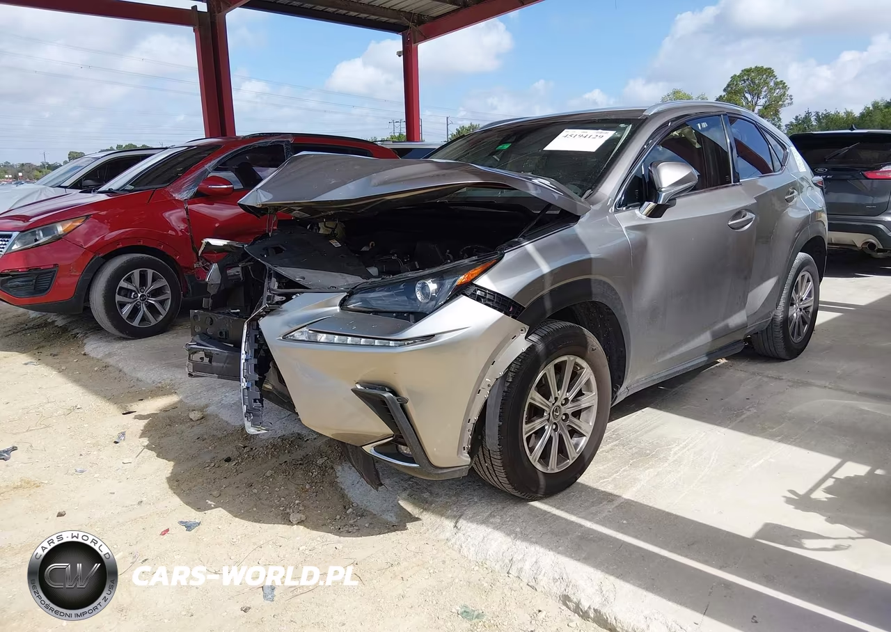 2020 Lexus Nx 300 VIN:JTJAARBZ8L5013908 - 2