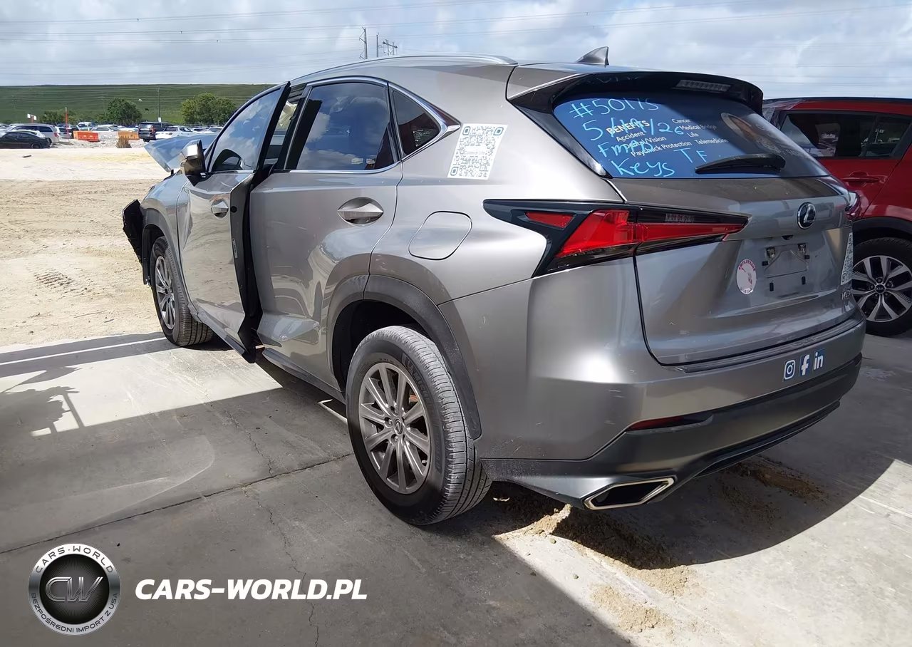 2020 Lexus Nx 300 VIN:JTJAARBZ8L5013908 - 3