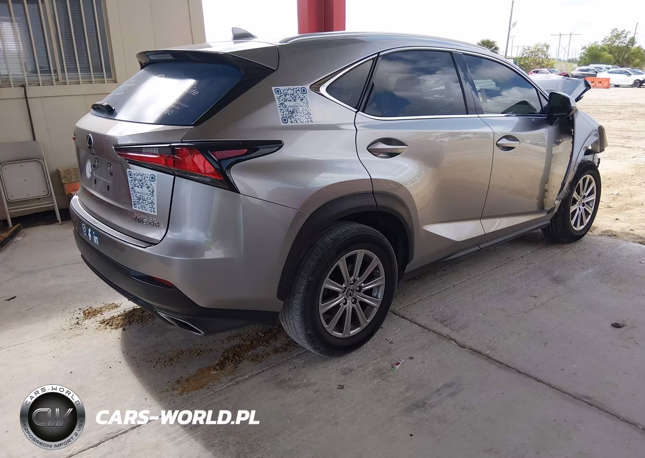 2020 Lexus Nx 300 VIN:JTJAARBZ8L5013908 - 4