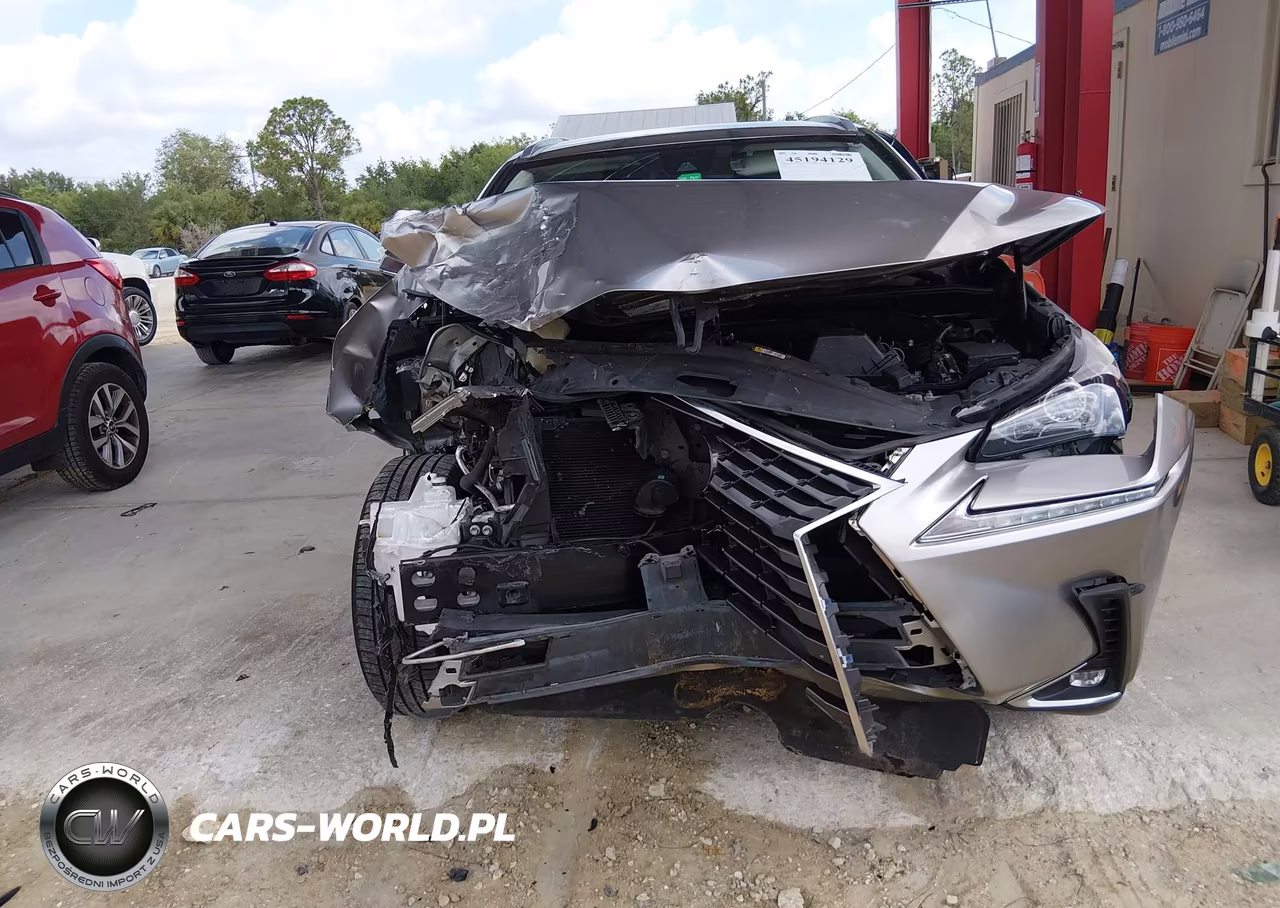 2020 Lexus Nx 300 VIN:JTJAARBZ8L5013908 - 6