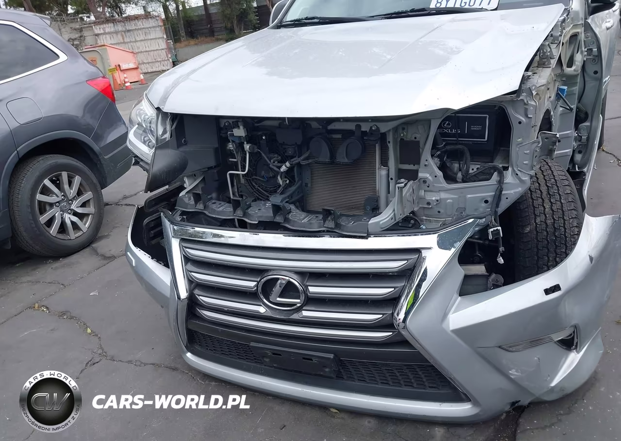 2019 Lexus Gx 460 Premium VIN:JTJBM7FX8K5224193 - 13