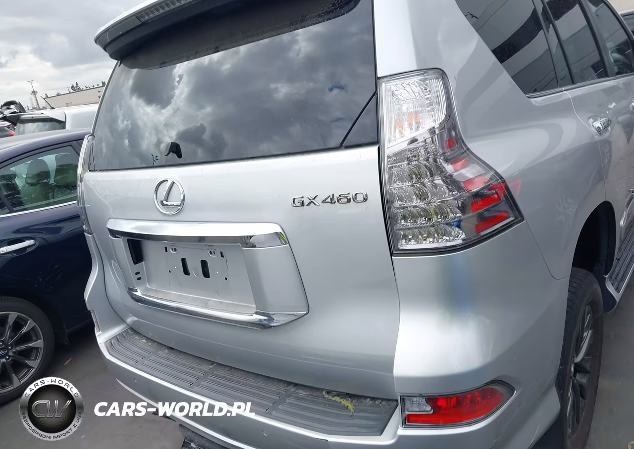 2019 Lexus Gx 460 Premium VIN:JTJBM7FX8K5224193 - 17