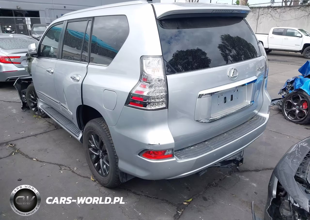 2019 Lexus Gx 460 Premium VIN:JTJBM7FX8K5224193 - 3