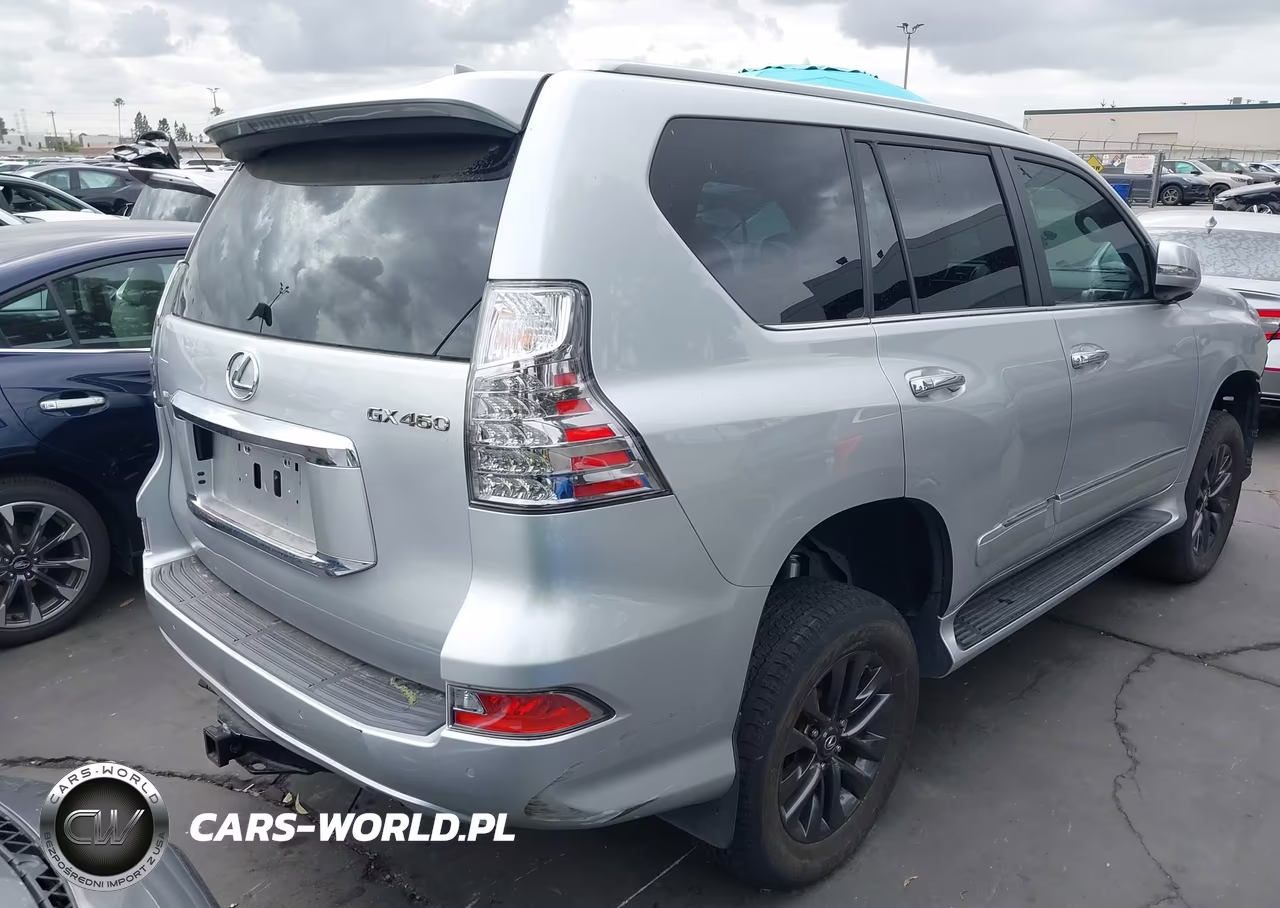 2019 Lexus Gx 460 Premium VIN:JTJBM7FX8K5224193 - 4