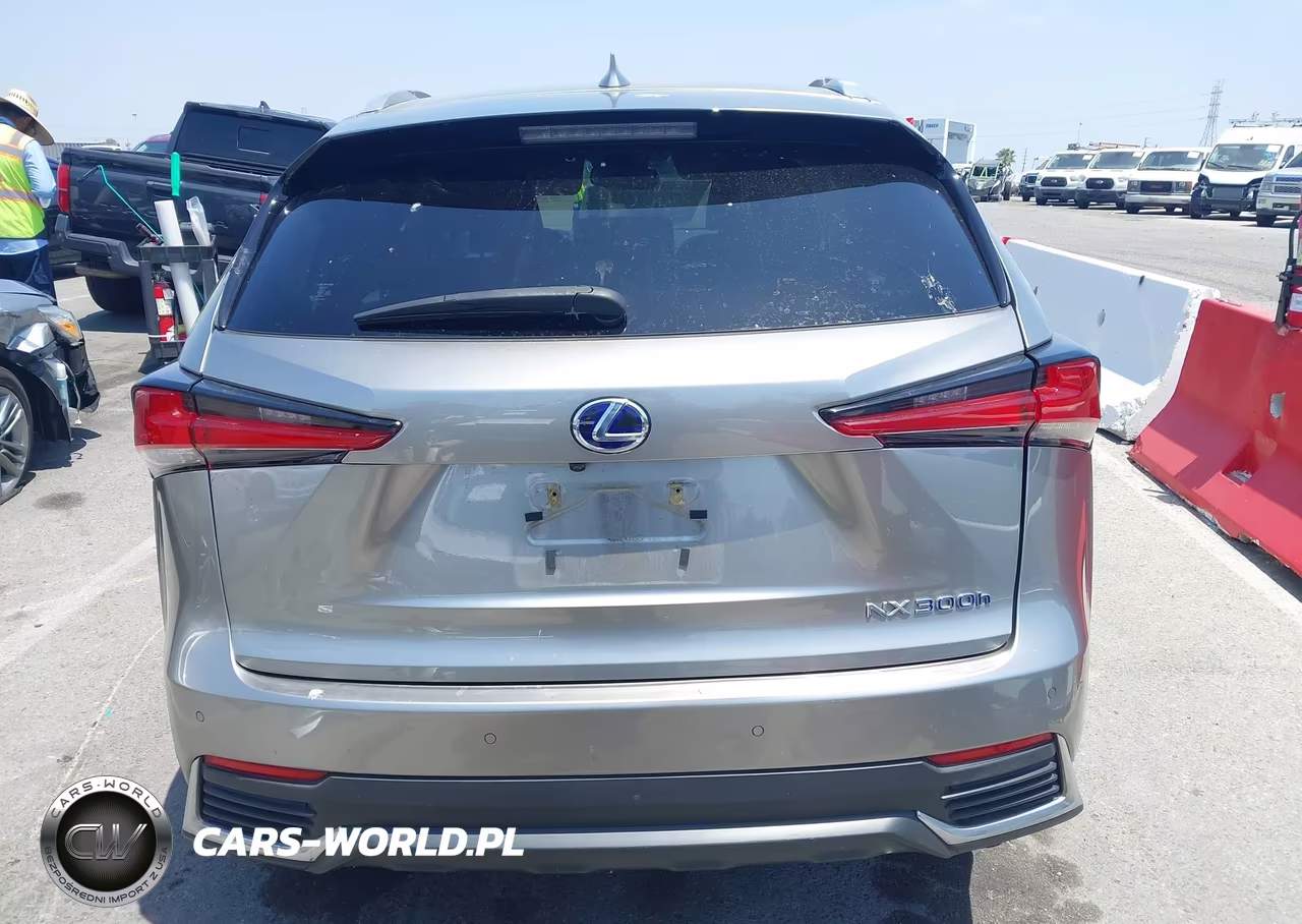 2018 Lexus Nx 300H VIN:JTJBJRBZ5J2085314 - 17