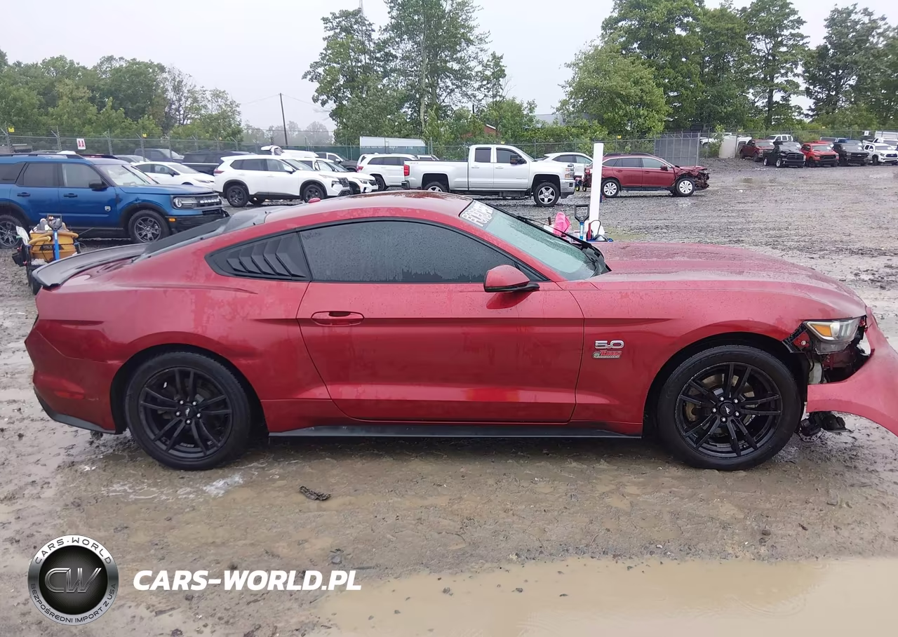 2015 Ford Mustang Ecoboost VIN:1FA6P8TH6F5348845 - 13