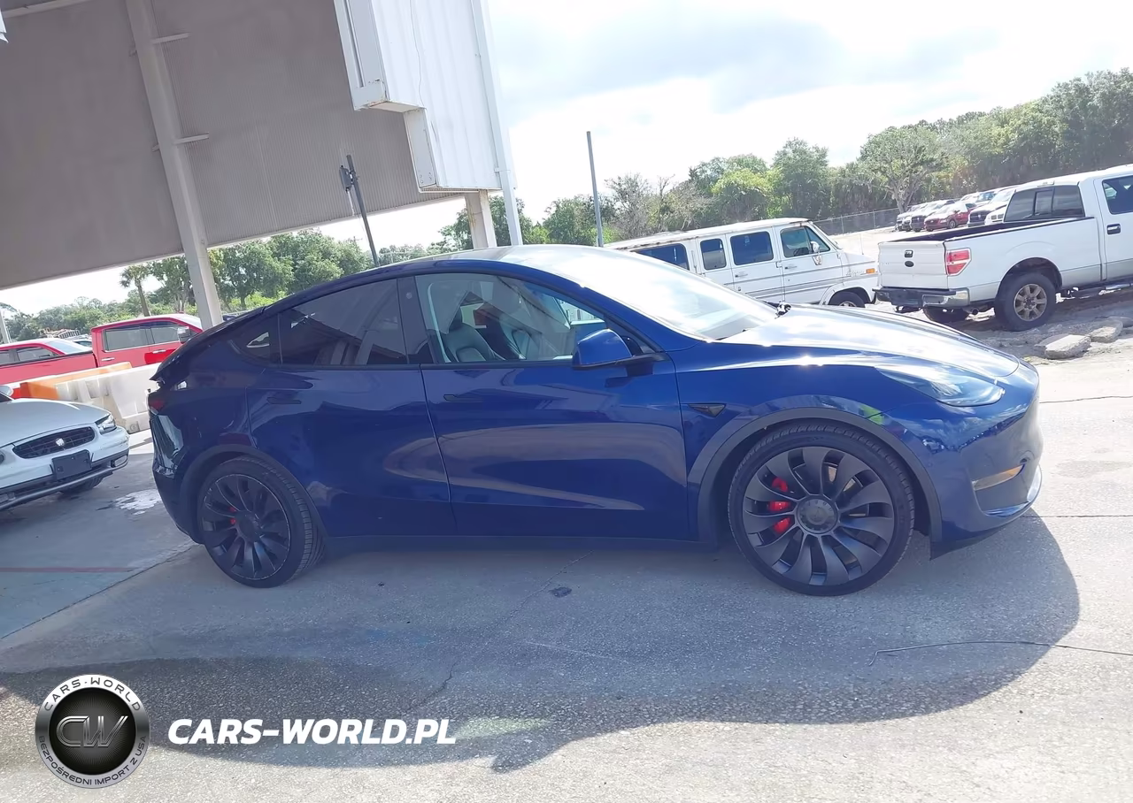 2022 Tesla Model Y Performance Dual Motor All-Wheel Drive VIN:7SAYGDEF6NF382419 - 12