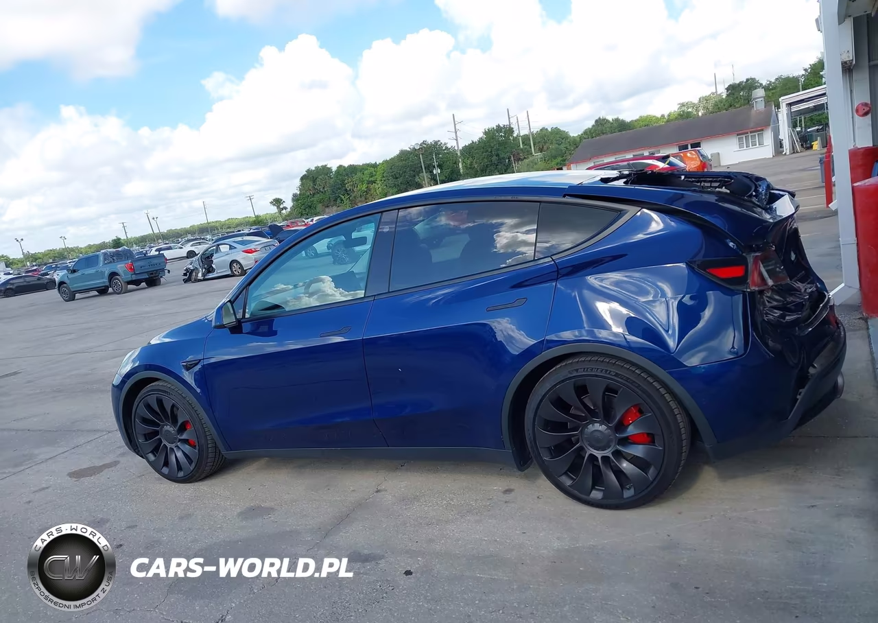 2022 Tesla Model Y Performance Dual Motor All-Wheel Drive VIN:7SAYGDEF6NF382419 - 13