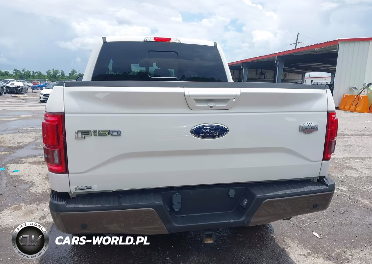 2016 Ford F-150 King Ranch VIN:1FTEW1EG9GFC37190 - 16