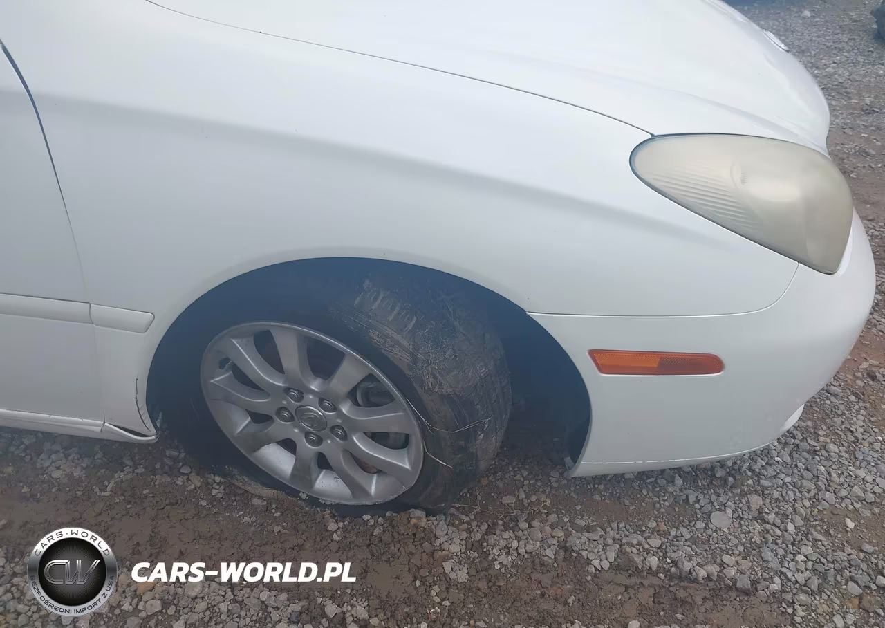 2004 Lexus Es 330 VIN:JTHBA30G645008289 - 6