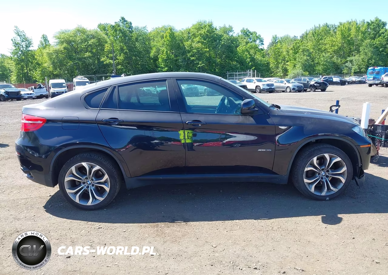 2014 BMW X6 xDrive35I VIN:5UXFG2C57E0C43242 - 13