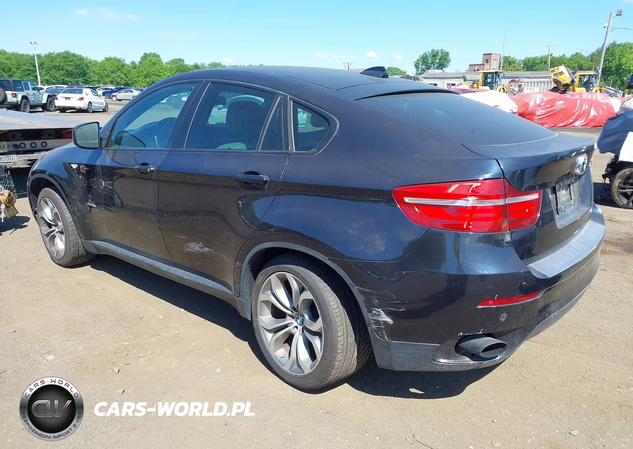2014 BMW X6 xDrive35I VIN:5UXFG2C57E0C43242 - 3