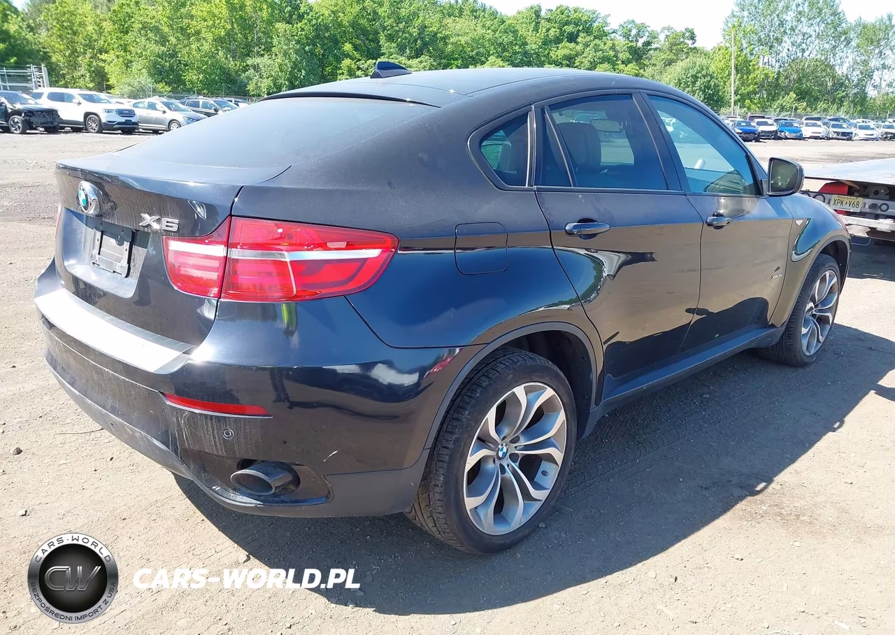 2014 BMW X6 xDrive35I VIN:5UXFG2C57E0C43242 - 4