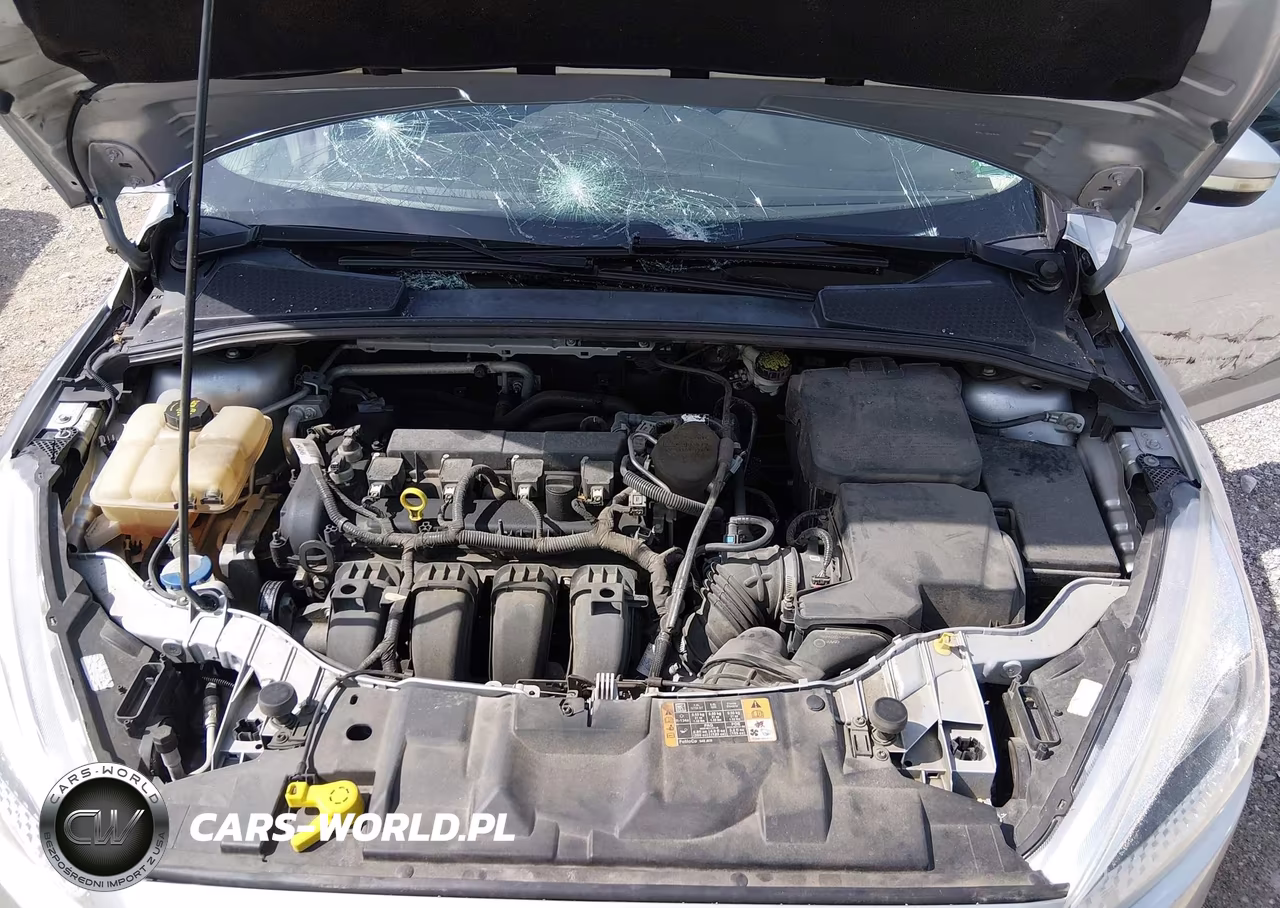 2016 Ford Focus Se VIN:1FADP3F2XGL202902 - 10