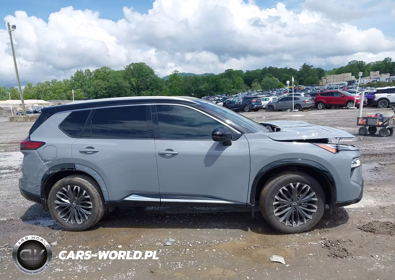 2024 Nissan Rogue Platinum Fwd VIN:JN8BT3DC2RW070958 - 12