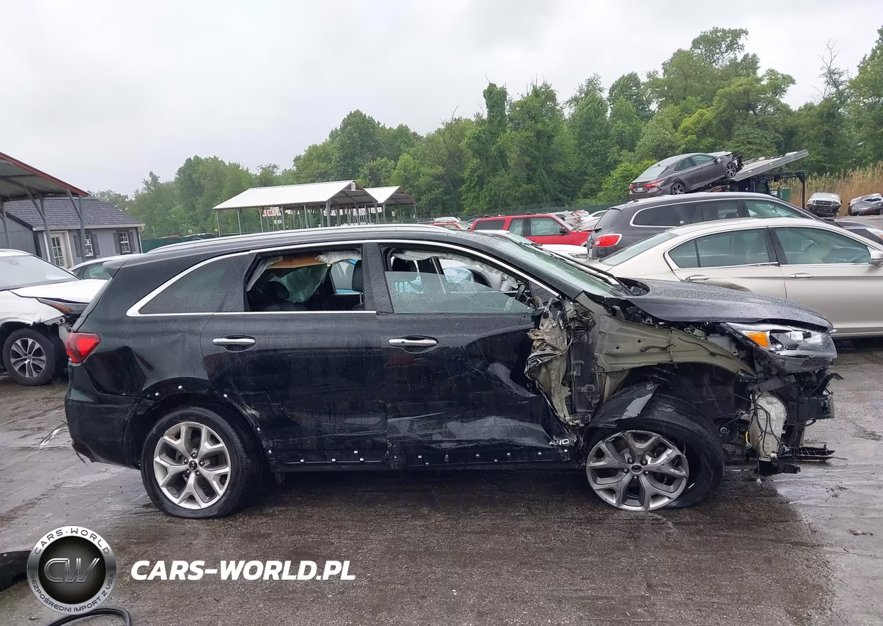 2020 Kia Sorento 3.3L Sx VIN:5XYPKDA5XLG689425 - 13