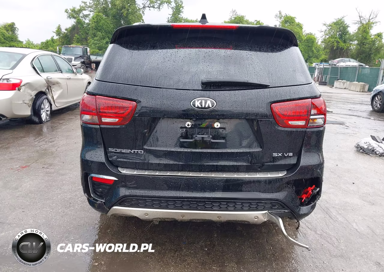 2020 Kia Sorento 3.3L Sx VIN:5XYPKDA5XLG689425 - 16