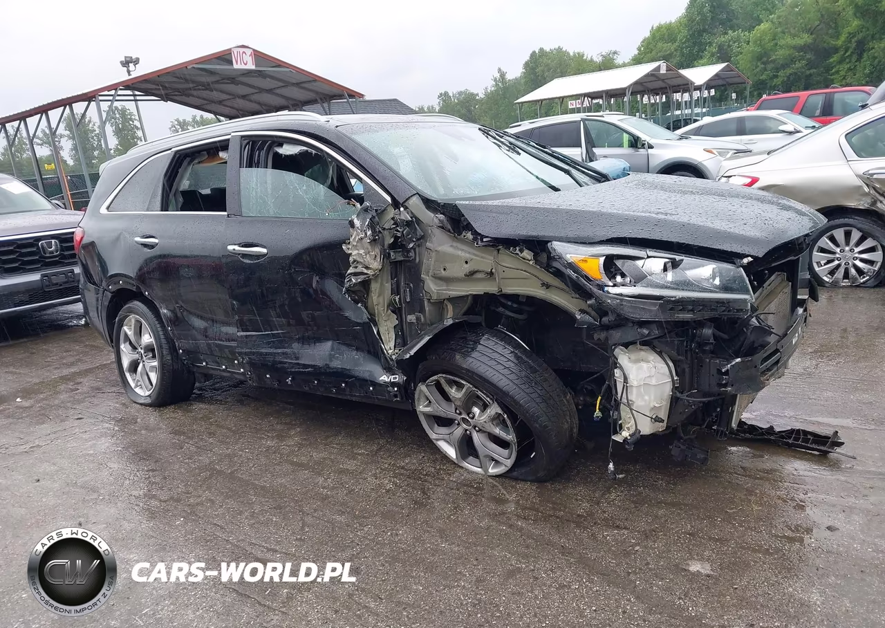 2020 Kia Sorento 3.3L Sx VIN:5XYPKDA5XLG689425 - 18