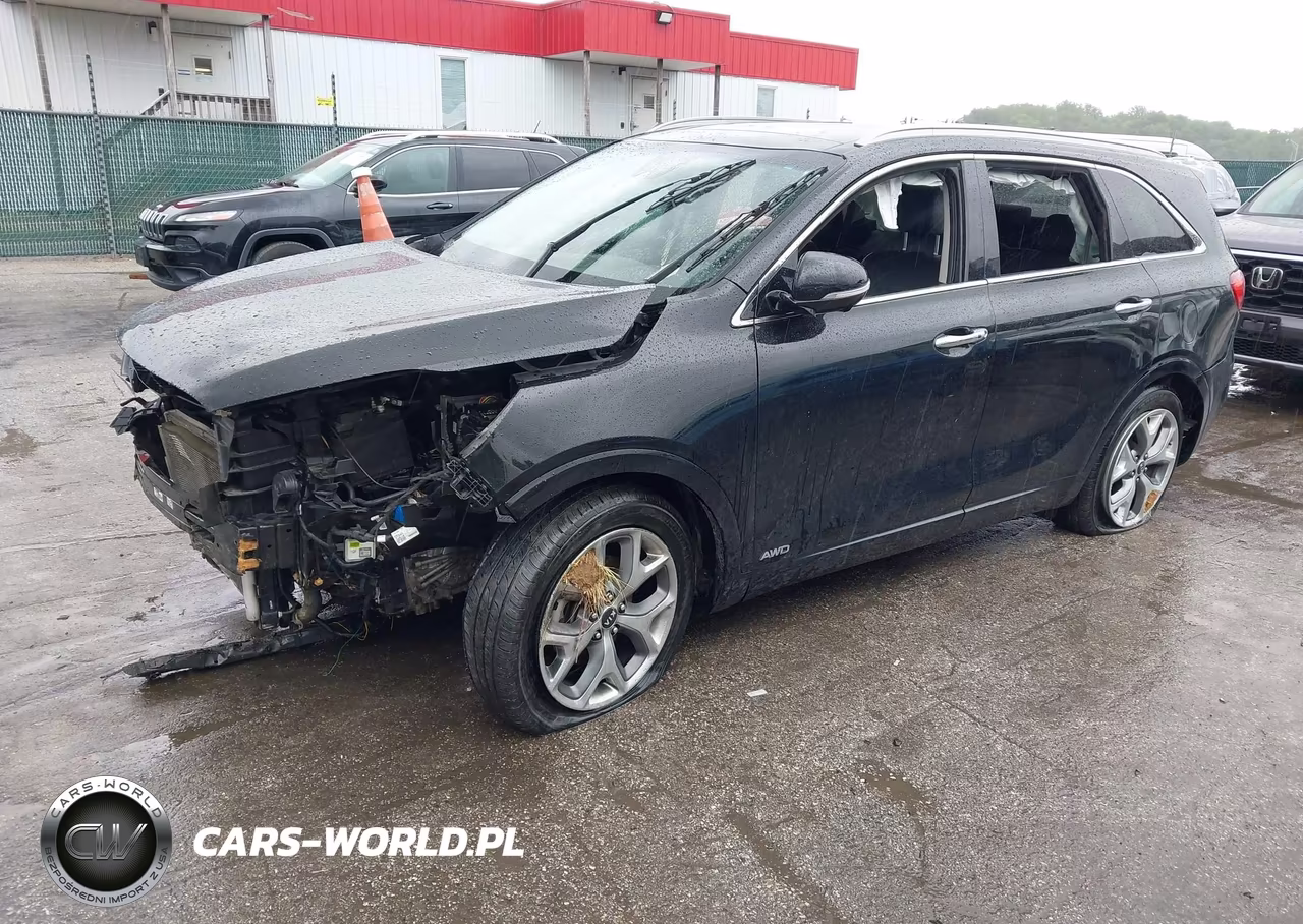 2020 Kia Sorento 3.3L Sx VIN:5XYPKDA5XLG689425 - 2