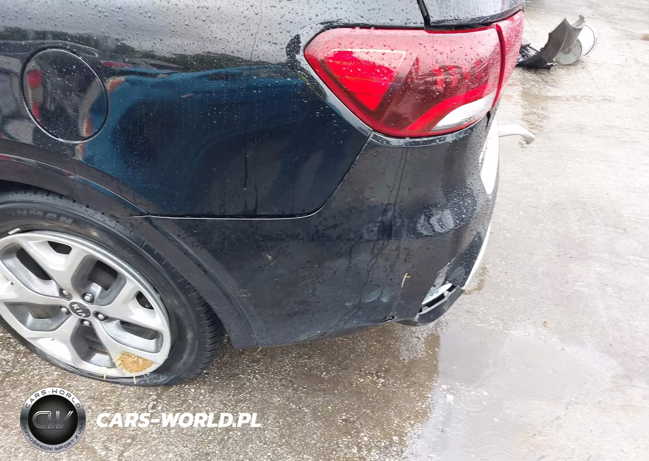 2020 Kia Sorento 3.3L Sx VIN:5XYPKDA5XLG689425 - 20