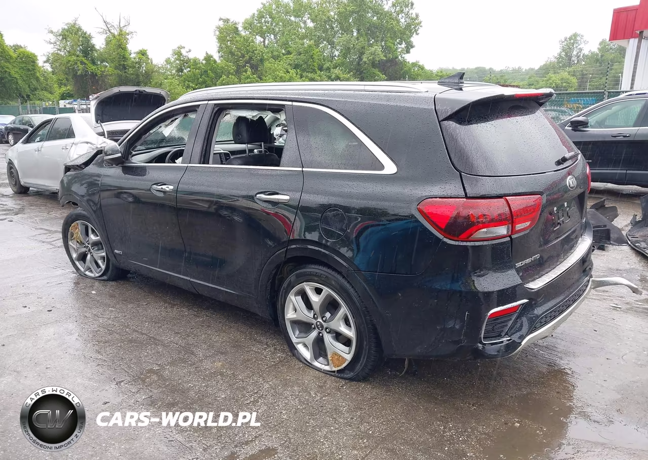 2020 Kia Sorento 3.3L Sx VIN:5XYPKDA5XLG689425 - 3