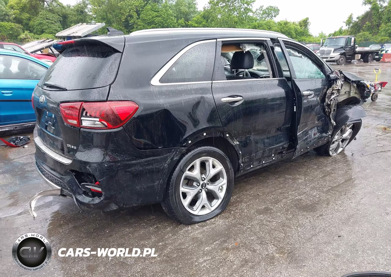 2020 Kia Sorento 3.3L Sx VIN:5XYPKDA5XLG689425 - 4