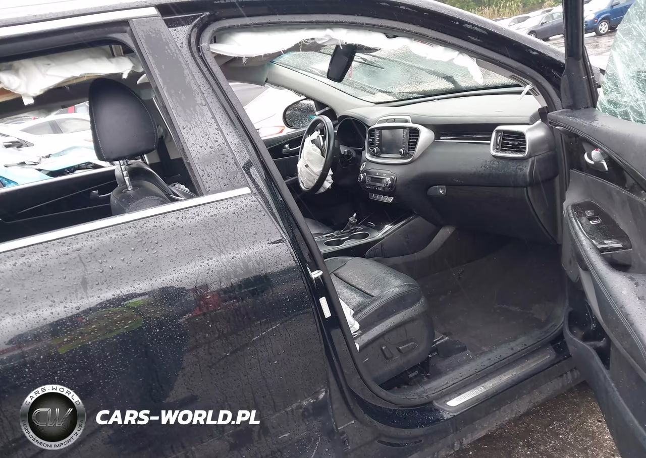 2020 Kia Sorento 3.3L Sx VIN:5XYPKDA5XLG689425 - 5