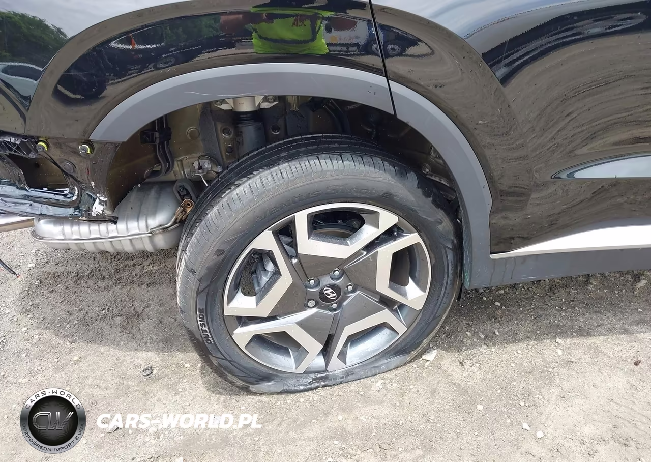 2025 Hyundai Palisade Sel Premium VIN:KM8R44GE0SU866857 - 20