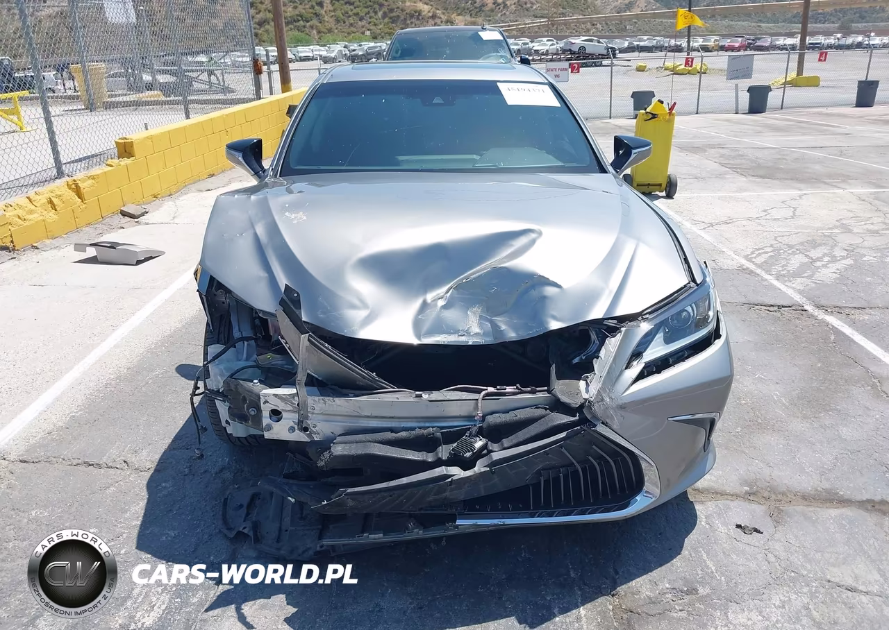 2021 Lexus Es 300H VIN:58ACA1C18MU002005 - 13