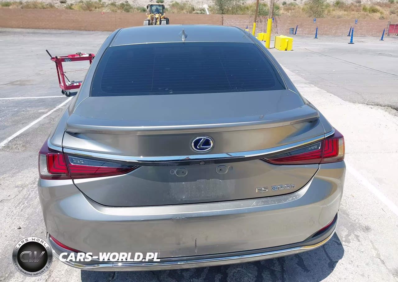 2021 Lexus Es 300H VIN:58ACA1C18MU002005 - 17