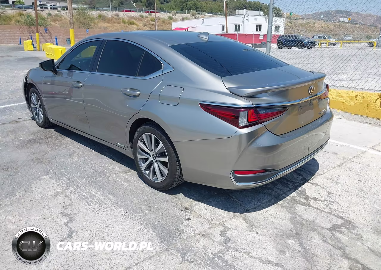 2021 Lexus Es 300H VIN:58ACA1C18MU002005 - 3