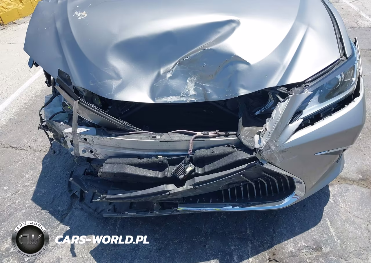 2021 Lexus Es 300H VIN:58ACA1C18MU002005 - 6