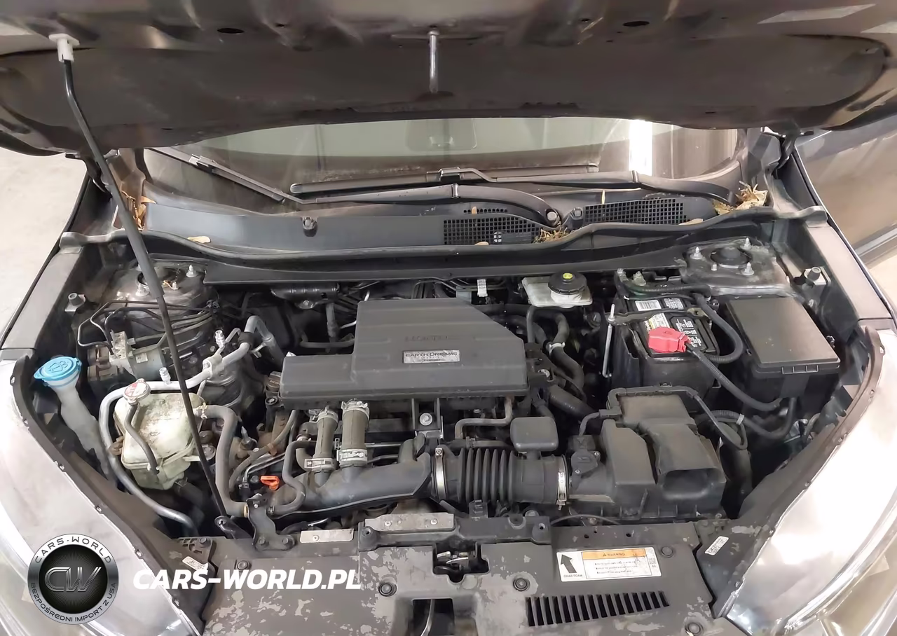 2019 Honda Cr-V Ex VIN:7FARW2H51KE016315 - 10