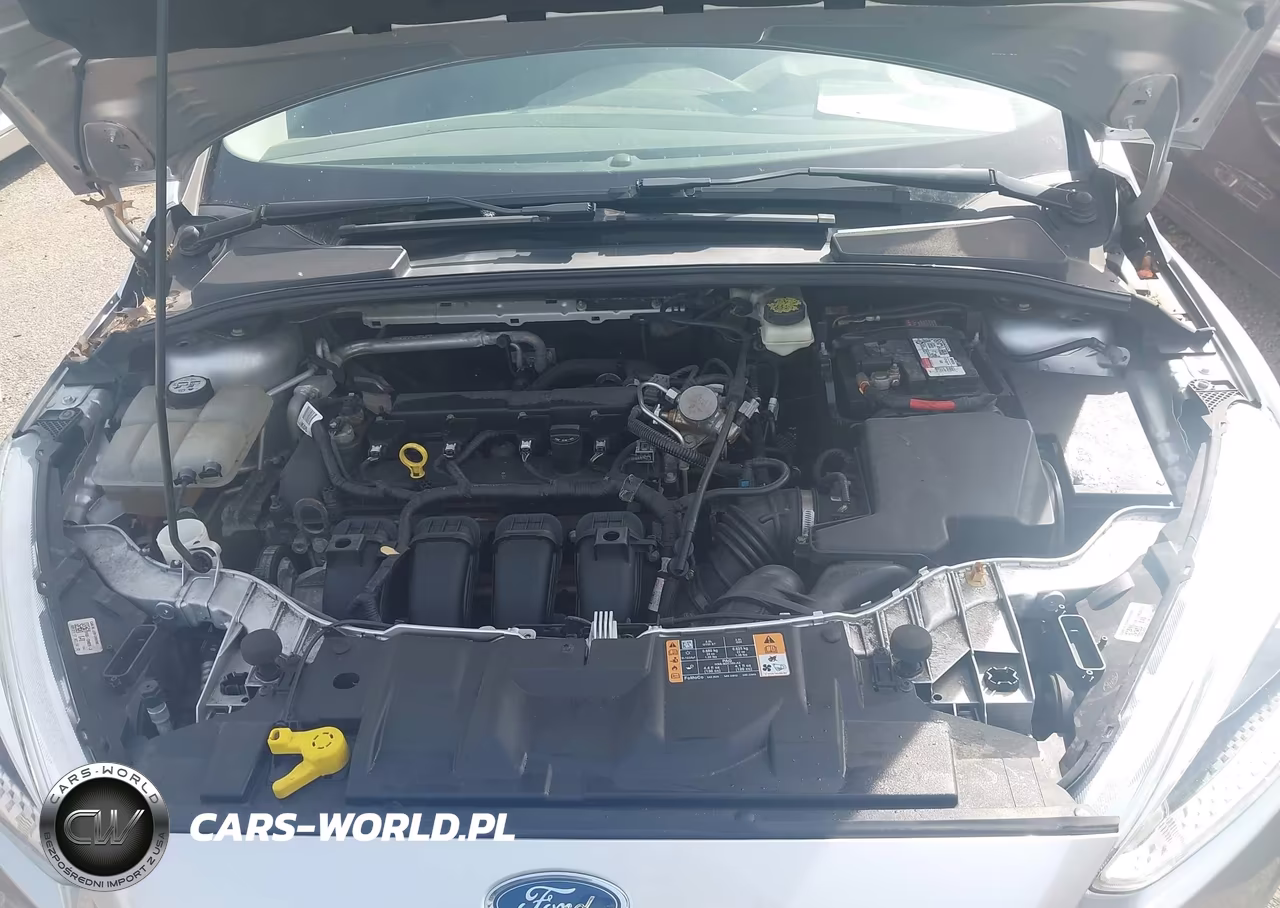 2017 Ford Focus Se VIN:1FADP3F27HL318723 - 10